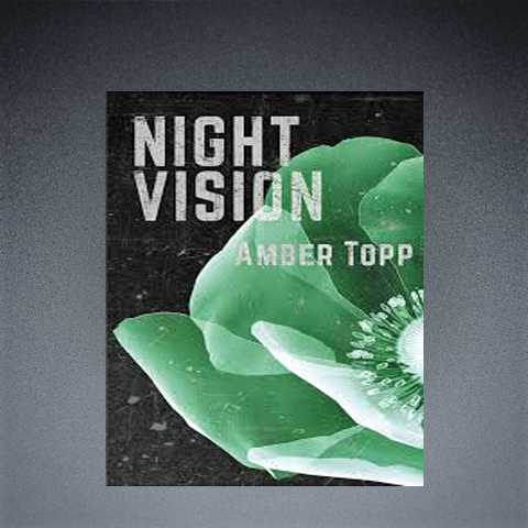 Book - Night Vision: The Poetry of Healing Military Sexual Trauma